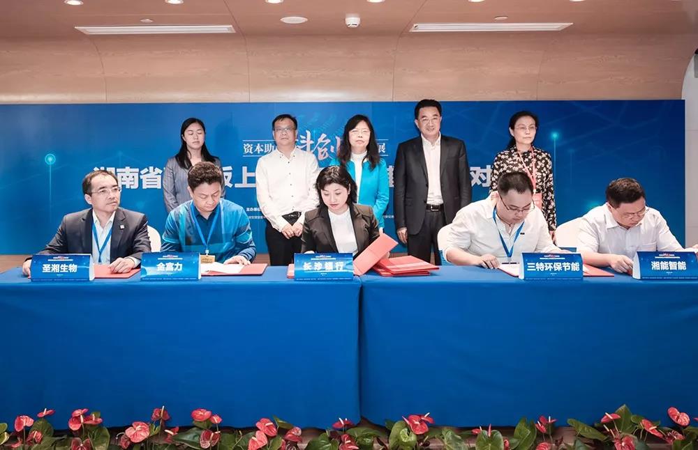 1558598741946088297.jpg 5.jpg